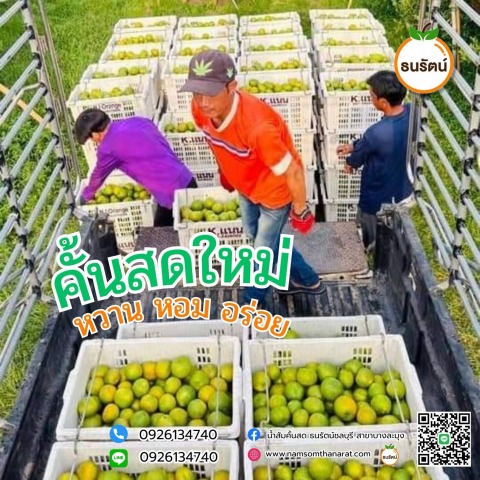 คัดสดใหม่ทุกลูก