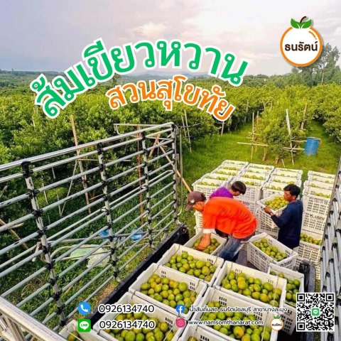 ส้มเขียวหวาน